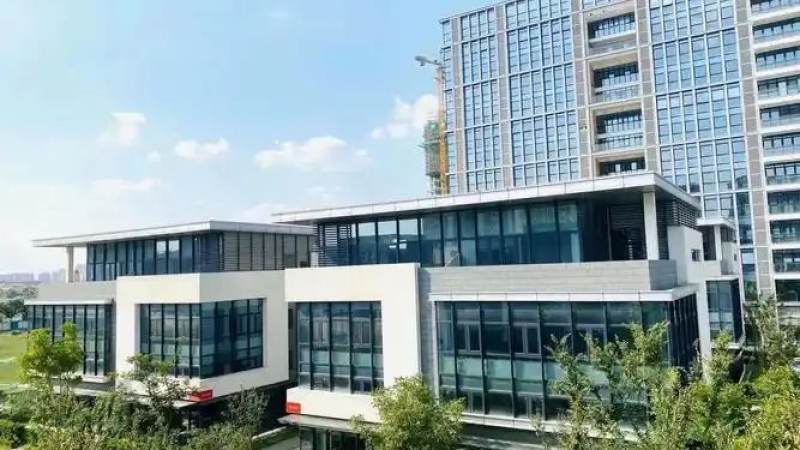 S16赛事数据接口的稳定性考验：从数据延迟到竞猜体验的连锁反应